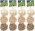 Ware Nature Ball Value Pack Small Animal Toy -  