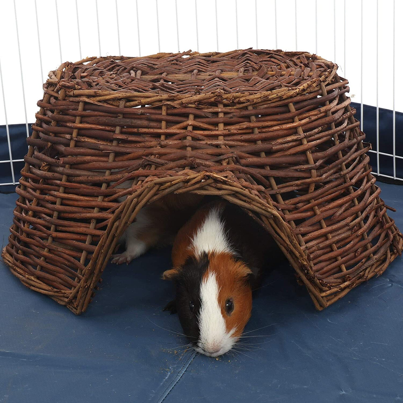 Ware Twigloo Small Animal Hideaway Large Pet Life