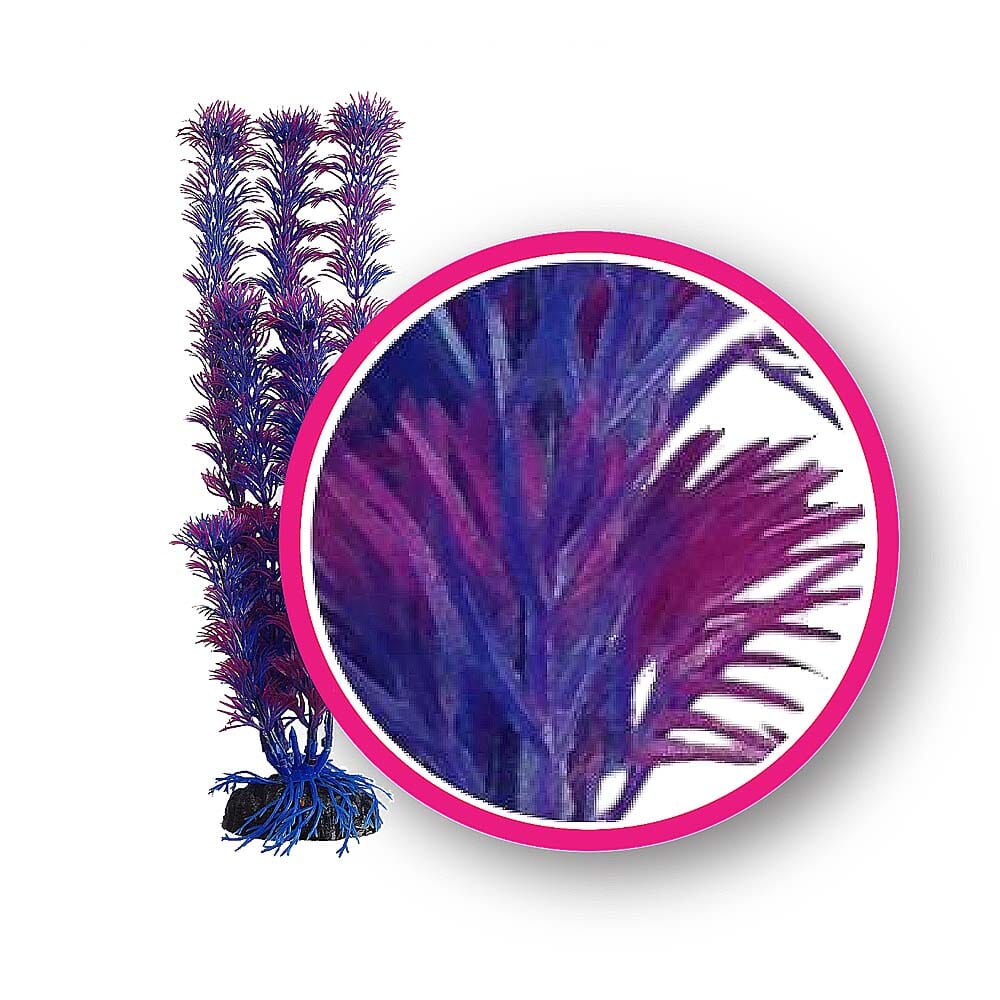 Weco Products Dream Series Fuschia Fern Aquarium Plant - Pink and Purple - 6 in  