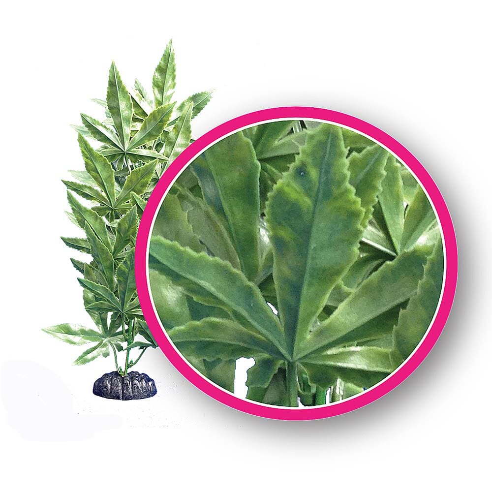 Weco Products Dream Series Hash Aquarium Plant - Green - 12 in  