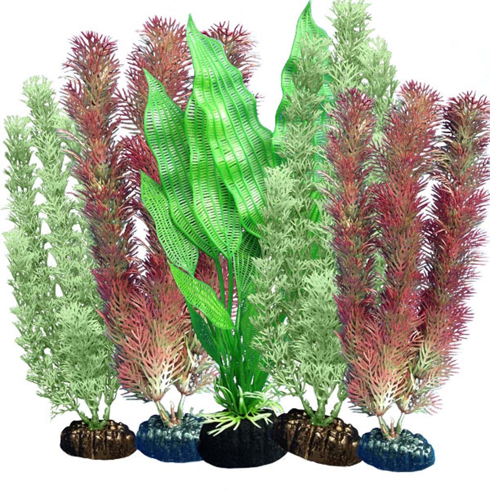 Weco Products Freshwater Aquarium Plant 102 Assorted - Multipack  