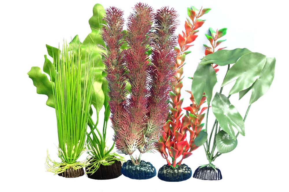 Weco Products Freshwater Aquarium Plant 105 Assorted - Multipack  