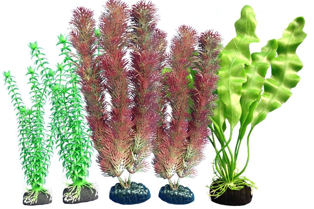 Weco Products Freshwater Aquarium Plant 108 Assorted - Multipack  