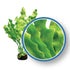 Weco Products Freshwater Pro Series Amazon Ruffled Sword Aquarium Plant - Green - 30 in  