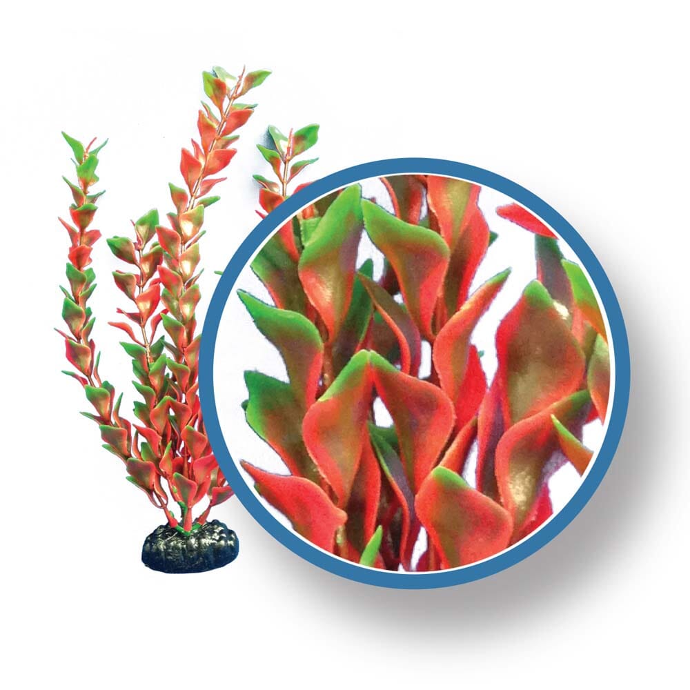 Weco Products Freshwater Pro Series Ludwigia Aquarium Plant - Red - 12 in  
