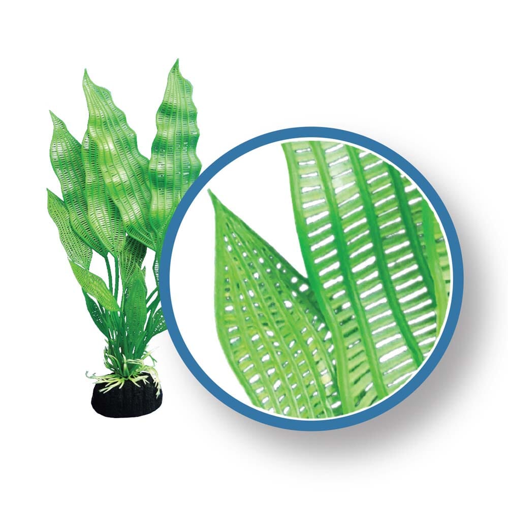 Weco Products Freshwater Pro Series Madagascar Lace Aquarium Plant - Green - 9 in  