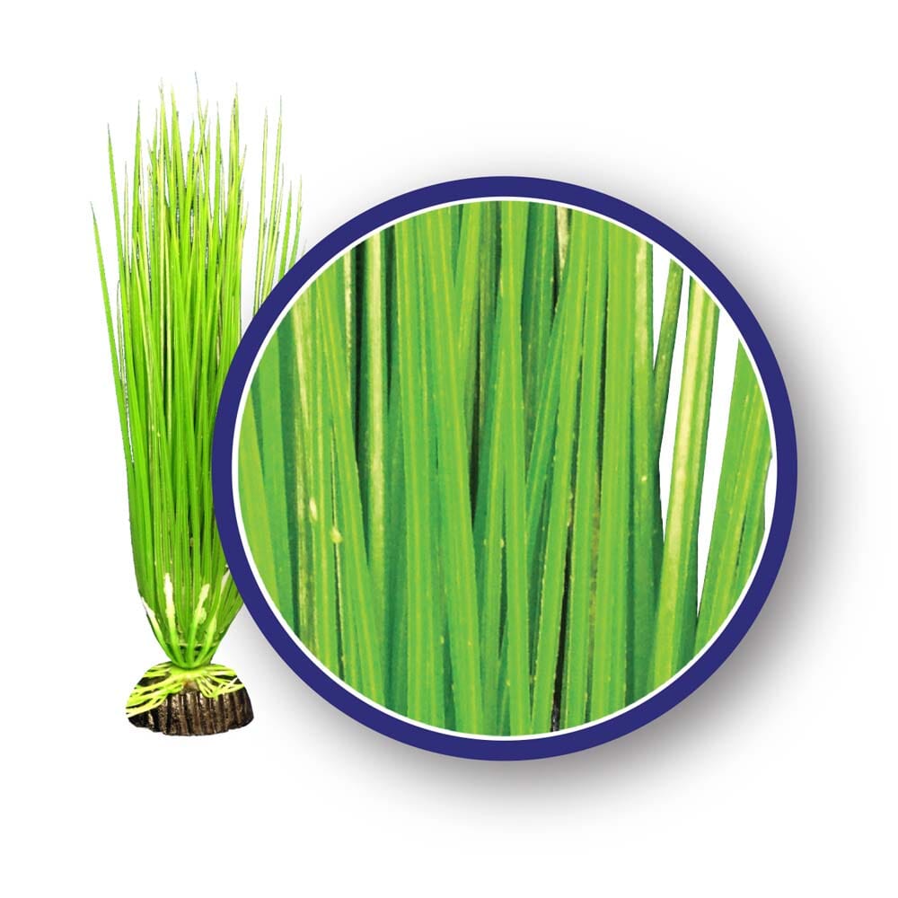 Weco Products Freshwater Series Asian Hairgrass Aquarium Plant - Green - 12 in  