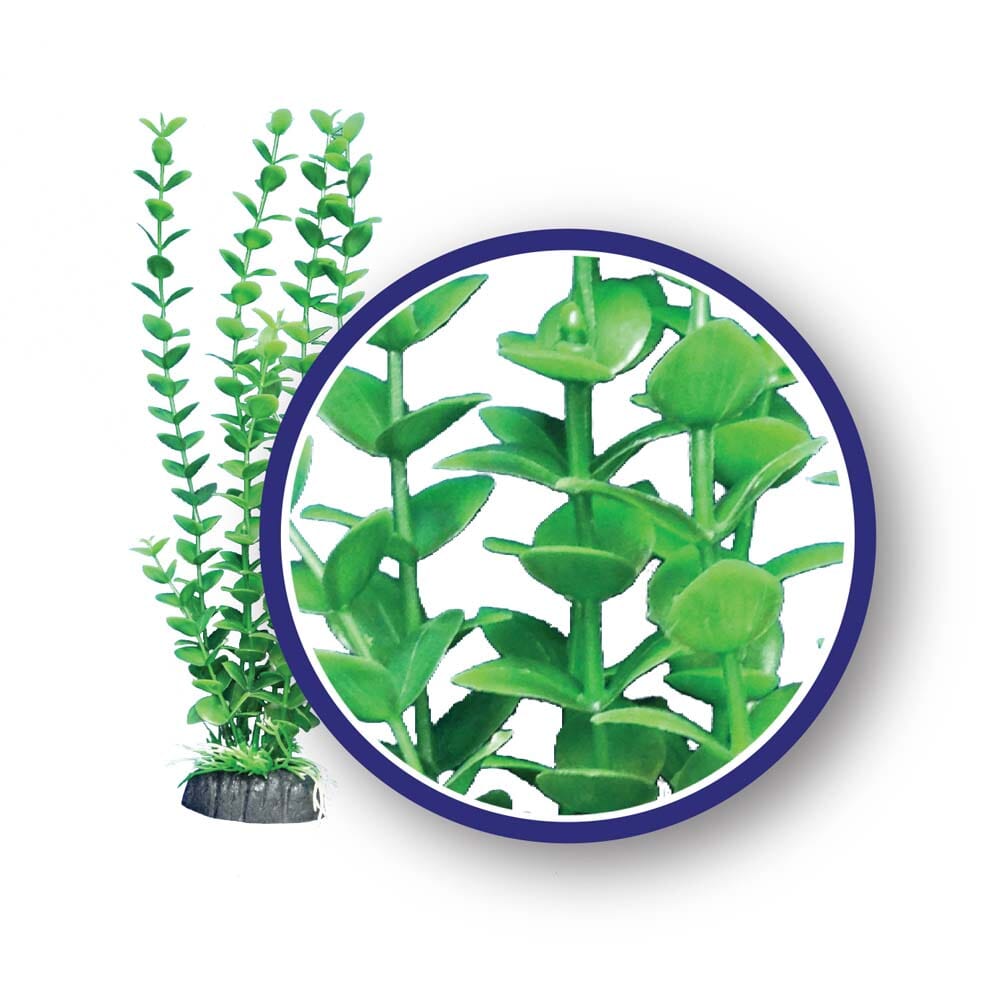 Weco Products Freshwater Series Bacopa Aquarium Plant - Green - 9 in  