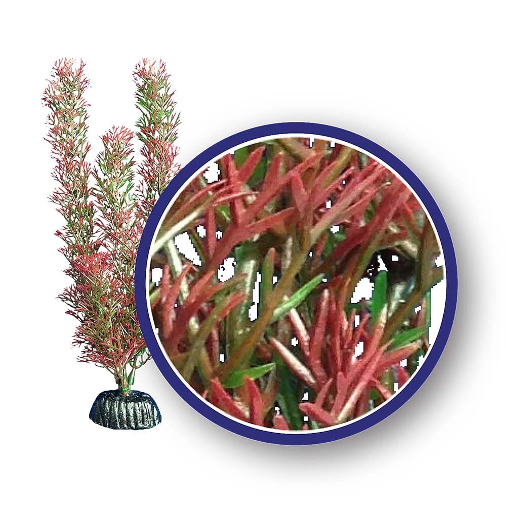 Weco Products Freshwater Series Foxtail Aquarium Plant - Red - 9 in  