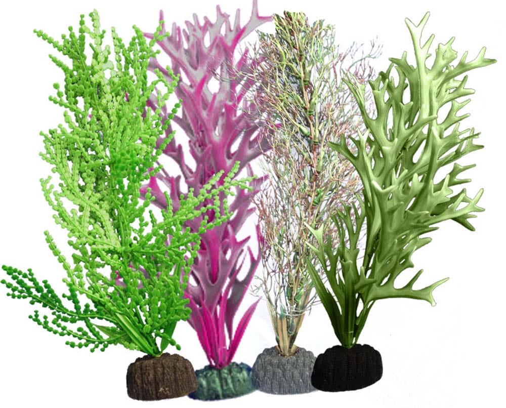Weco Products Marine Plant 109 Assorted - Multipack  