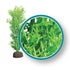 Weco Products Marine Pro Series Bushy Kelp Aquarium Plant - Green - 9 in  