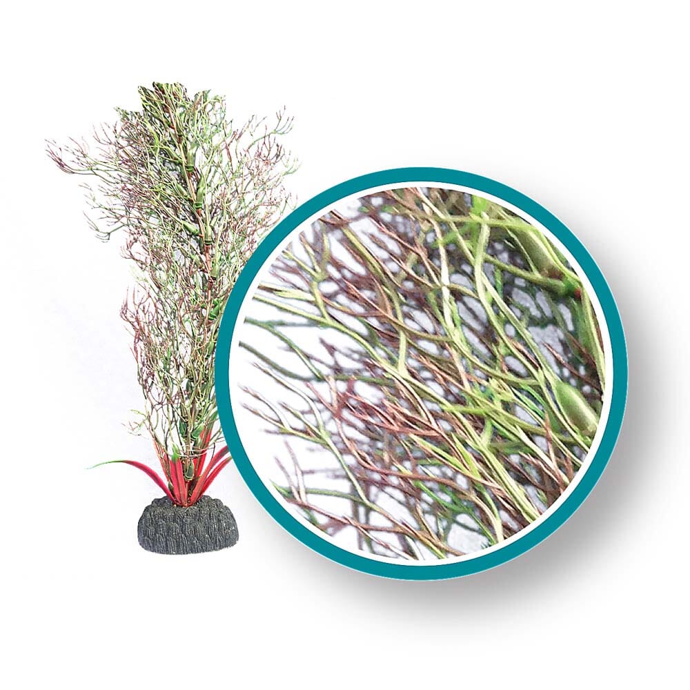 Weco Products Marine Pro Series Fine Branch Kelp Aquarium Plant - Green - 18 in  