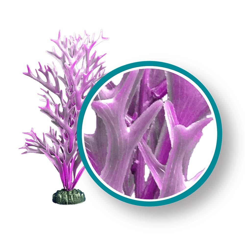 Weco Products Marine Pro Series Giant Kelp Aquarium Plant - Purple - 6 in - Giant  