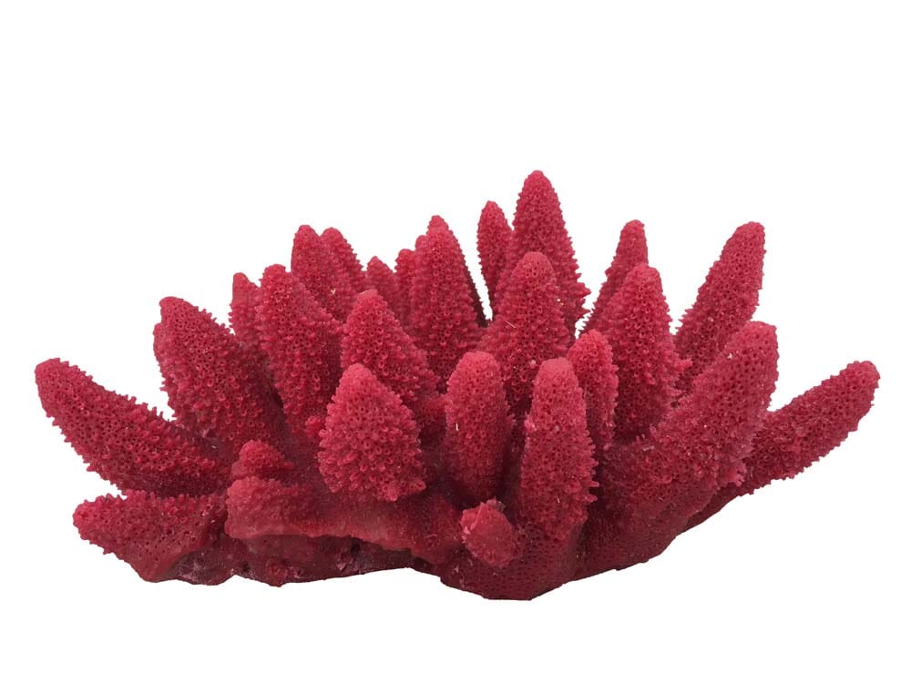 Weco Products South Pacific Coral Acorapora Humilis Ornament - Rose - Medium  