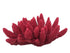 Weco Products South Pacific Coral Acorapora Humilis Ornament - Rose - Medium  