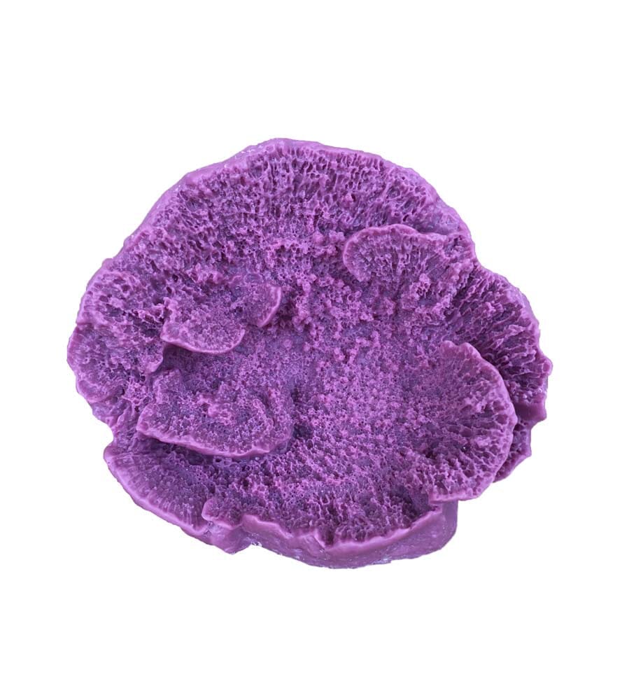 Weco Products South Pacific Coral Capricornis Ornament - Lavender - Small  