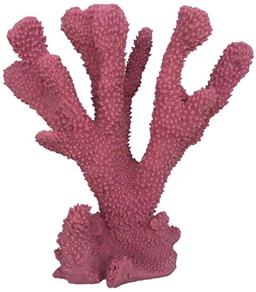 Weco Products South Pacific Coral Cats Paw Ornament - Rose - Medium  