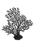 Weco Products South Pacific Coral Sea Fan Ornament - Black - Medium  