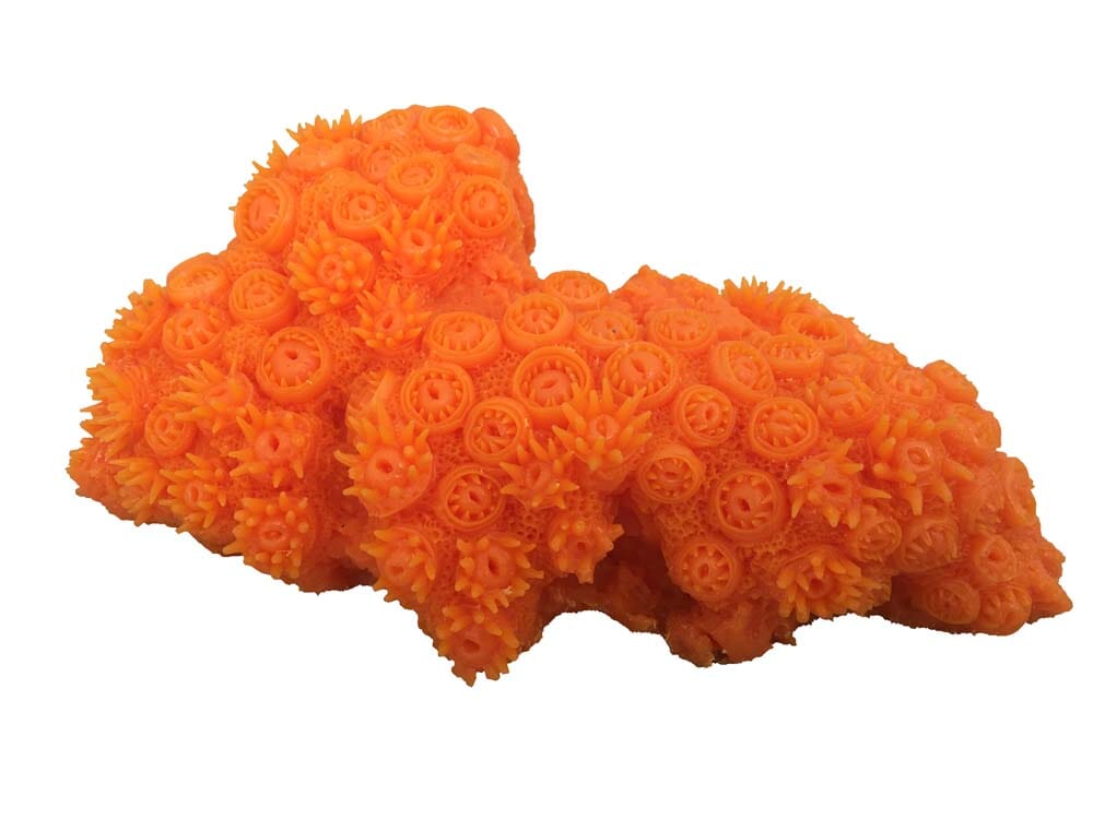 Weco Products South Pacific Coral Tubastrea Ornament - Orange - Medium  