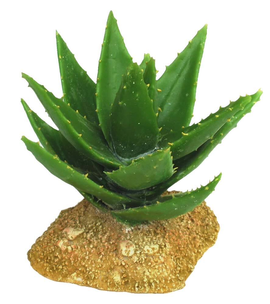 Weco Products Wecorama Badlands Aloe Vera Terrarium Ornament Brown, Green - 5 in  