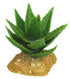 Weco Products Wecorama Badlands Aloe Vera Terrarium Ornament Brown, Green - 5 in  