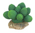 Weco Products Wecorama Badlands Pointed Sonoran Cactus Terrarium Ornament - Brown and Green - 3 in  