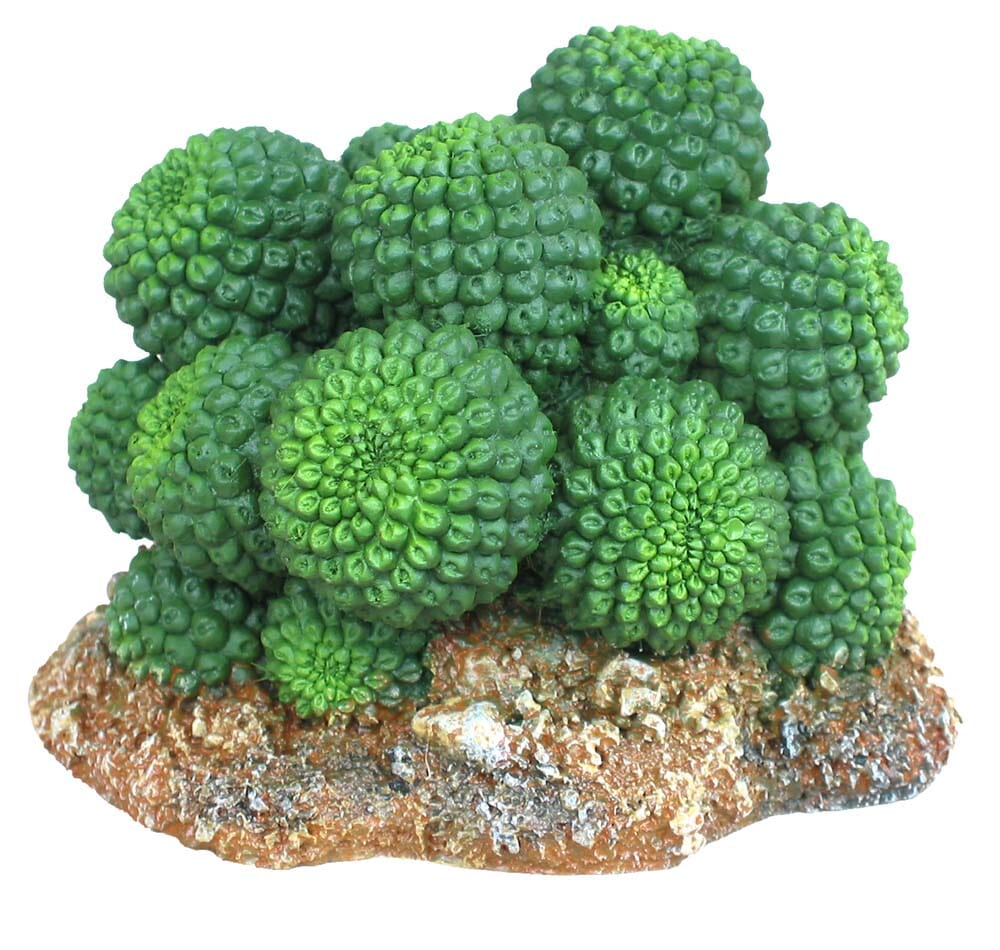 Weco Products Wecorama Badlands Sonoran Cactus Terrarium Ornament - Brown and Green - 2.92 in  