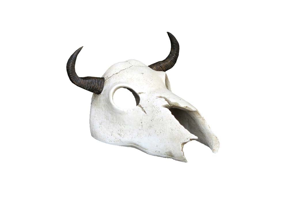 Weco Products Wecorama Catacombs Longhorn Skull Aquarium Ornament - Black and White  