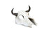 Weco Products Wecorama Catacombs Longhorn Skull Aquarium Ornament - Black and White  