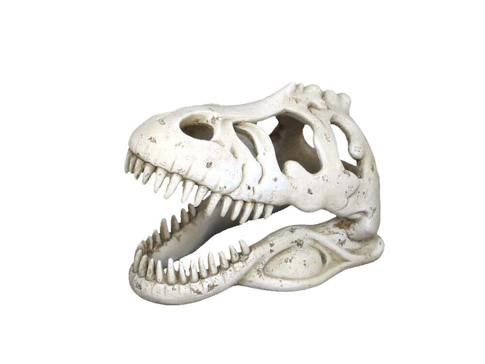 Weco Products Wecorama Catacombs T-REX Skull Aquarium Ornament - White  