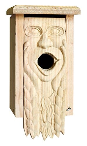 Welliver Outdoors Carved Bluebird House Mother Earth - Cedar - 13 X 6.5 X 6.25 In