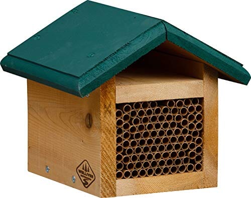 Welliver Outdoors Mason Bee House - Cedar/Green - 7.5 X 7.75 X 7 In  