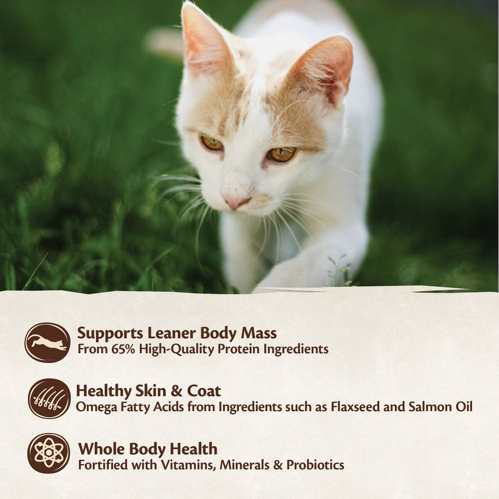 Wellness CORE Natural Grain Free Original Turkey, Chicken, Whitefish & Herring Recipe Dry Cat Food  