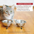 Wellness CORE Tiny Tasters Chicken & Beef Pate Wet Cat Food  