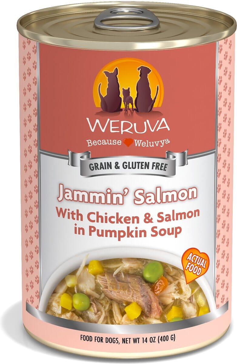 Weruva BFF BE JAMMIN Chicken and Salmon Wet Dog Food - 2.7 Oz Tub - Case of 12  