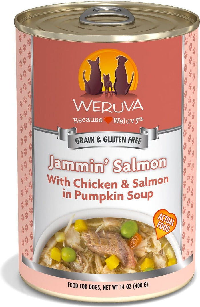 Weruva BFF BE JAMMIN Chicken and Salmon Wet Dog Food - 2.7 Oz Tub - Case of 12