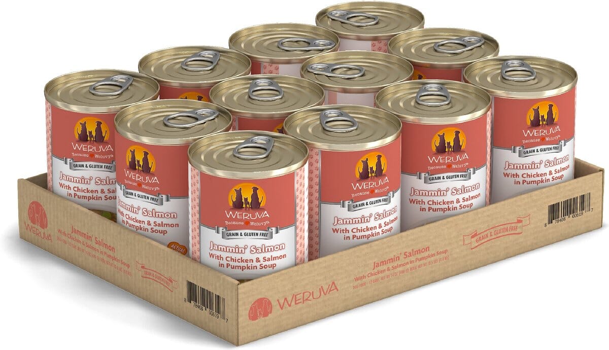 Weruva BFF BE JAMMIN Chicken and Salmon Wet Dog Food - 2.7 Oz Tub - Case of 12  