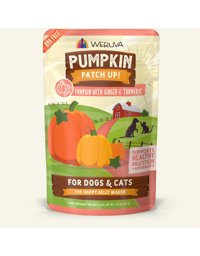Weruva Dog and Cat Pumpkin and Ginger Wet Pet Food - 1.05 Oz Pouch - Case of 12