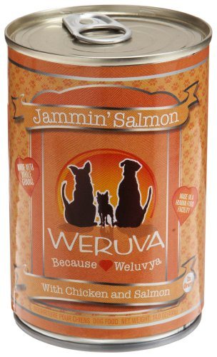 Weruva Jammin' Salmon Canned Dog Food - 14 Oz - Case of 12  