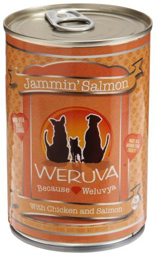 Weruva Jammin' Salmon Canned Dog Food - 14 Oz - Case of 12