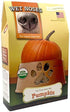 Wet Noses Treats Pumpkin Crunchy Dog Treats - 14 oz Box  