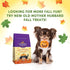 Whimzees Fall Value Bag Medium Dental Dog Chews - 6.3 Oz - 6 Count  