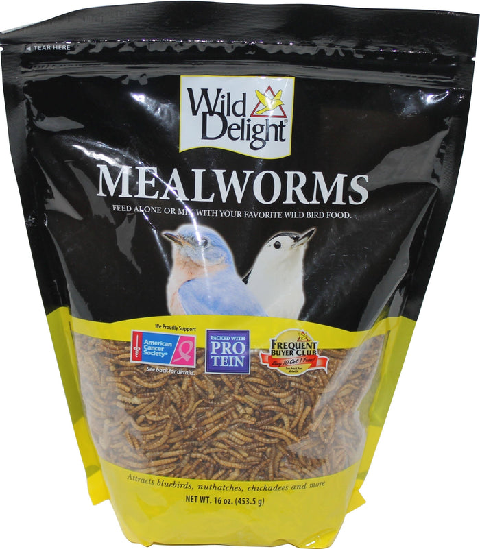 Wild Delight Advanced Mealworms Wild Bird Food - 16 Oz