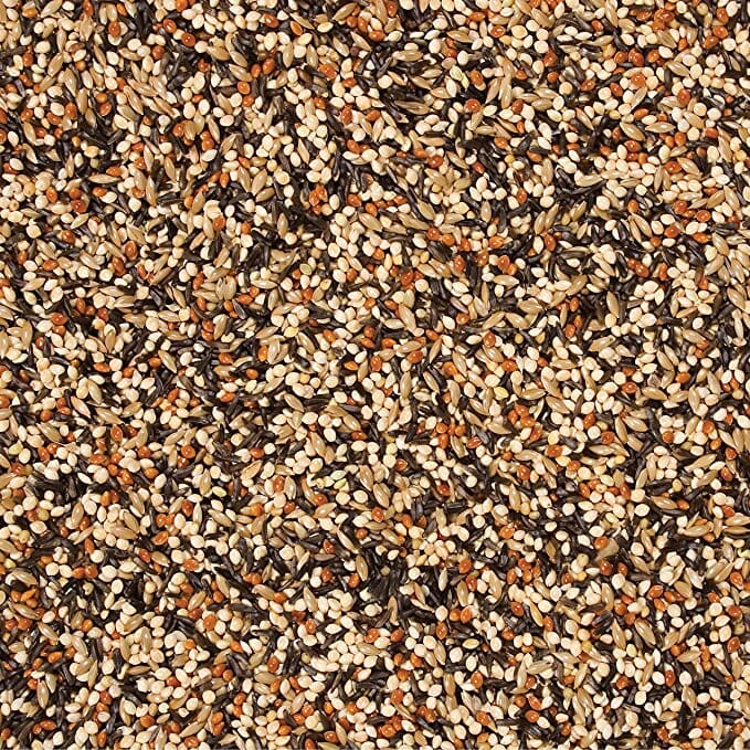 Wild Delight Outdoor Finch Wild Bird Food - 5 Lbs  