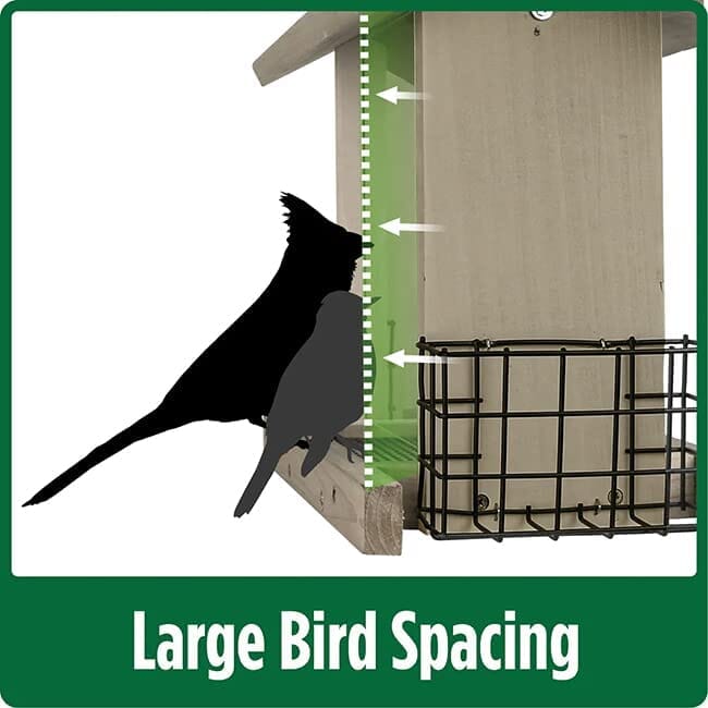 Wild Wings Stained Glass and Wooden Hopper Wild Bird Feeder Feeder with Suet Cages - Brown - 3.1 Qt Cap  