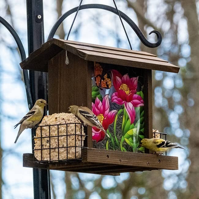 Wild Wings Stained Glass and Wooden Hopper Wild Bird Feeder Feeder with Suet Cages - Brown - 3.1 Qt Cap  