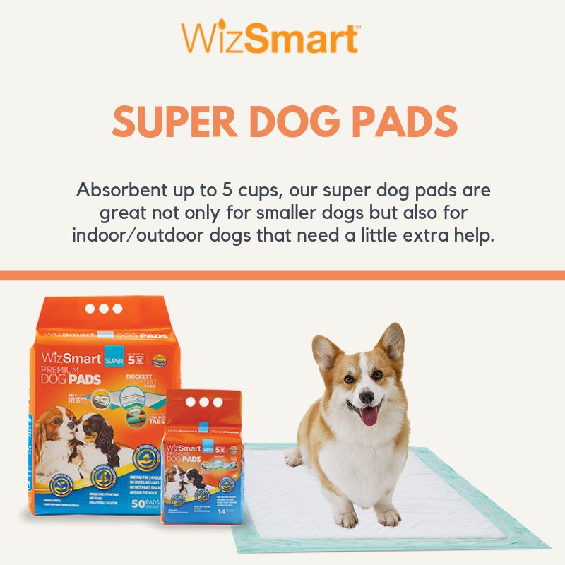 WizSmart Super All Day Dry Premium Dog Pads  