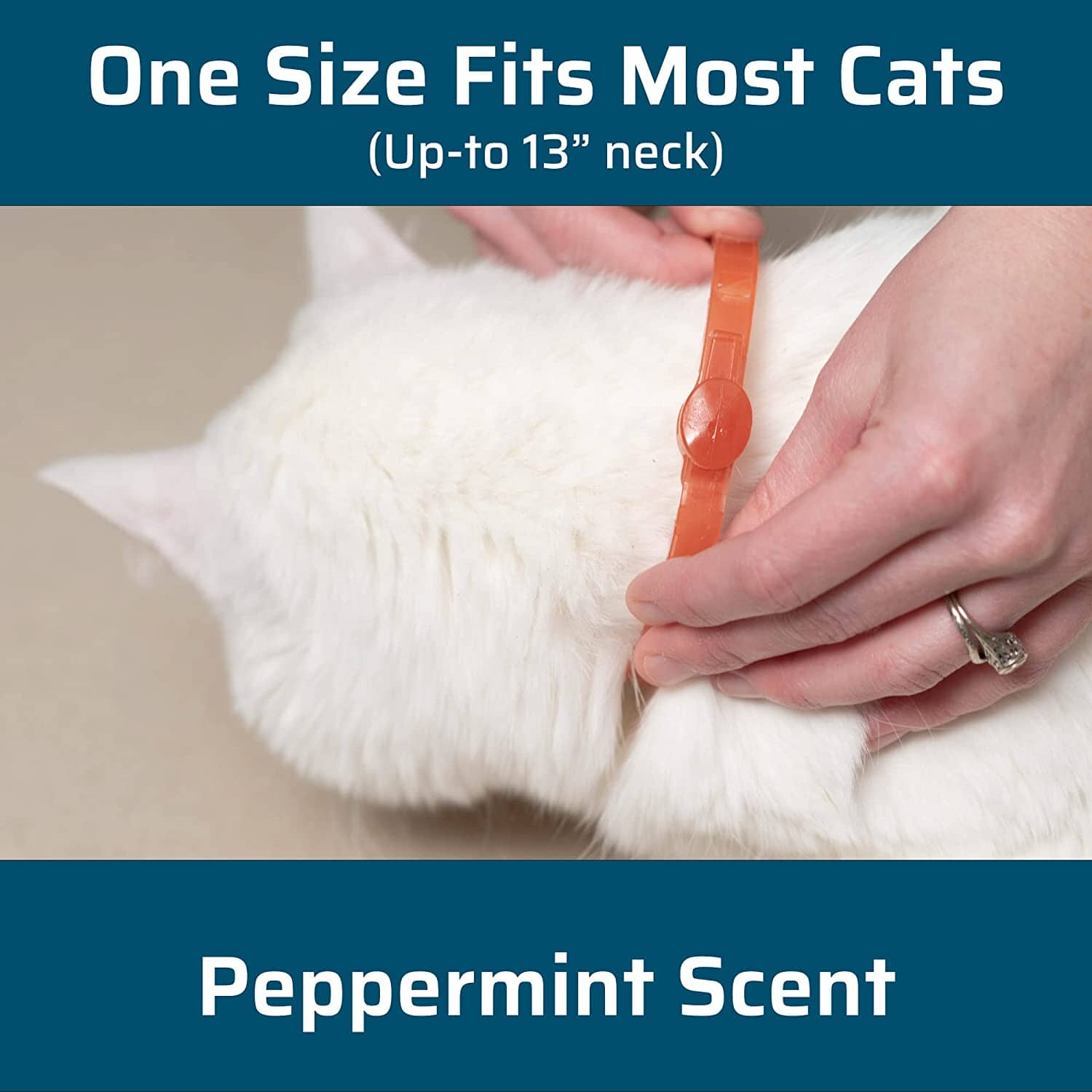 Wondercide Flea & Tick Collar for Cats - Peppermint  