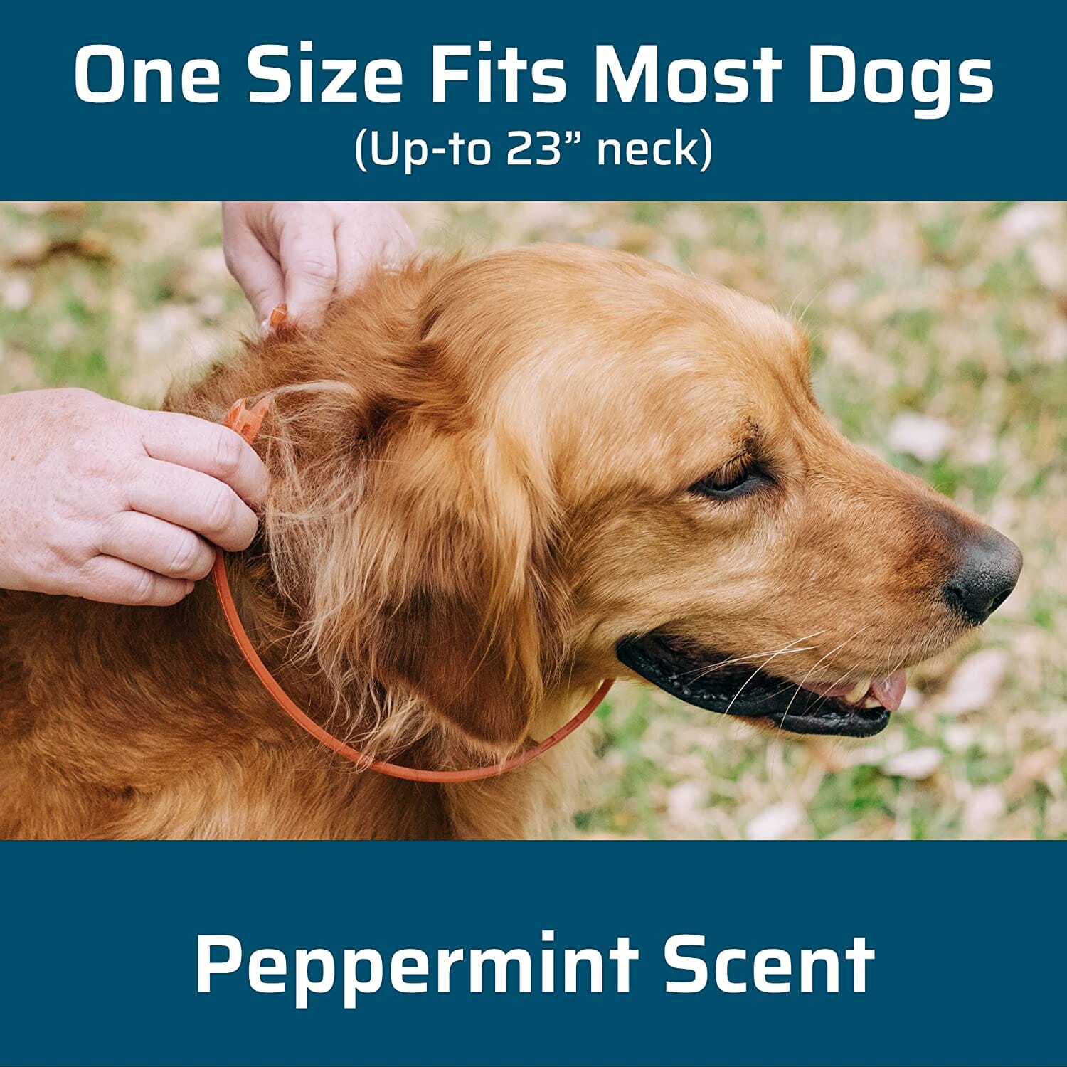 Wondercide Flea & Tick Collar for Dogs - Peppermint  