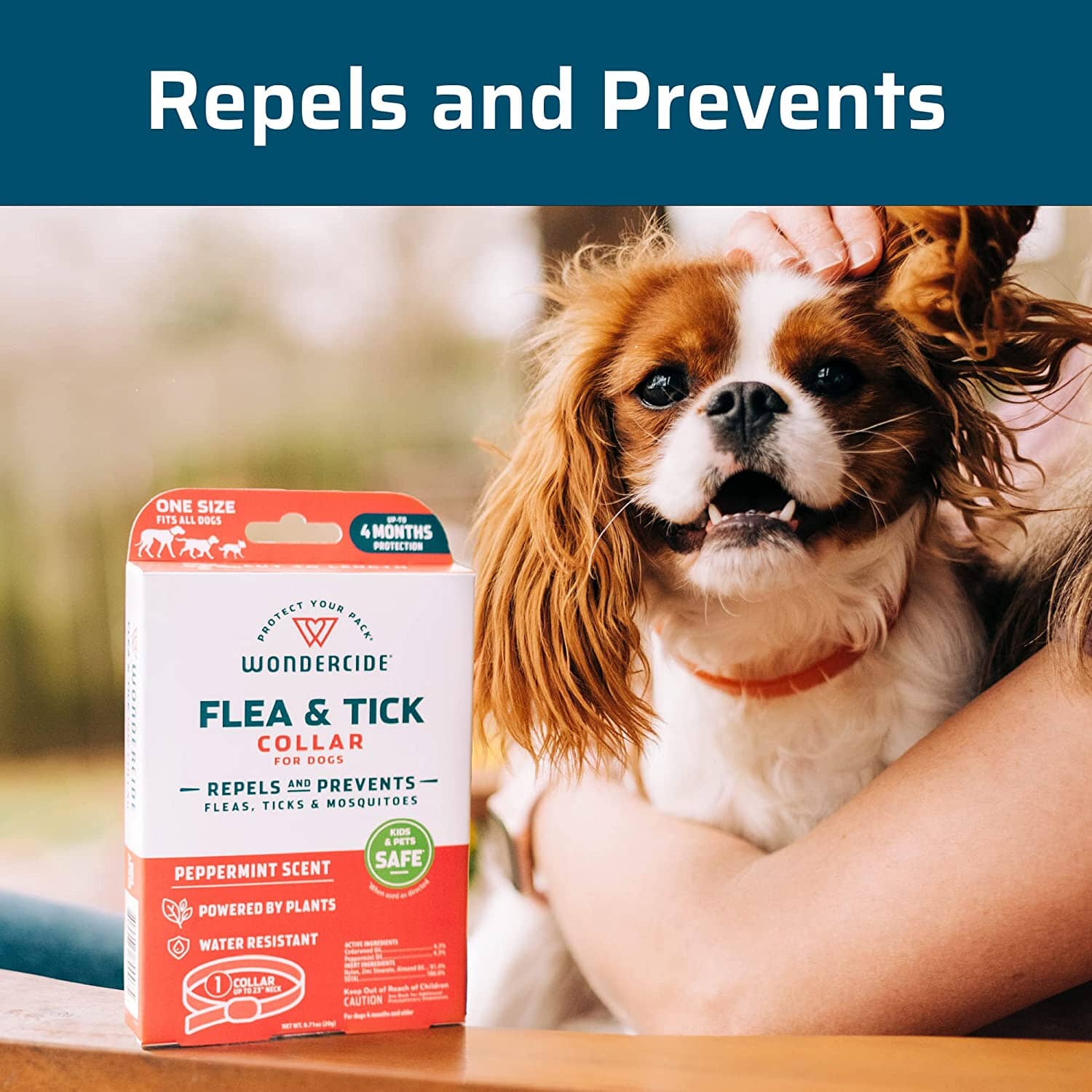 Wondercide Flea & Tick Collar for Dogs - Peppermint  